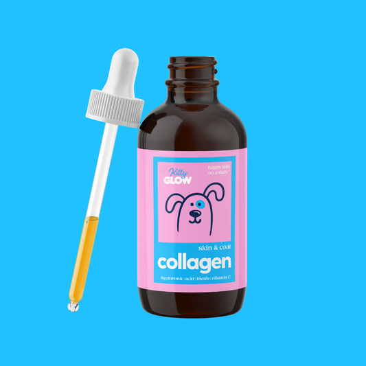 Collagen